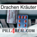 Drachen Kräuter 36